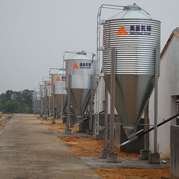 陽(yáng)江豬場(chǎng)