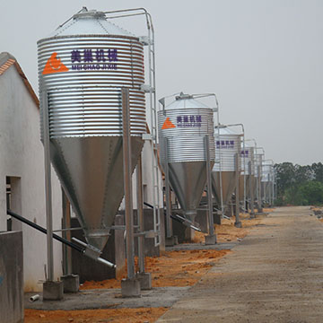 陽(yáng)江豬場(chǎng)