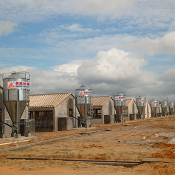 陽(yáng)江豬場(chǎng)